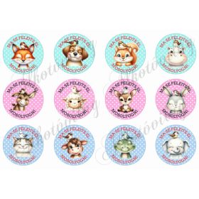   Pöttyös körök 6 cm - CUKI ÁLLATKÁKKAL, MA SE FELEJTS EL MOSOLYOGNI felirattal