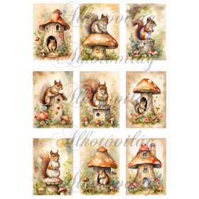 Kártyák festett mókusokkal - 8,5 x 6 cm