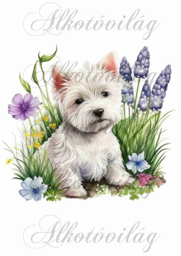 Párnablokk - vászontáska blokk - Westie kutyus kék-lila virágokkal 2