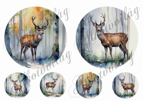 Szarvasok fák között körökben 2 - 13 és 5,5 cm átmérőjű