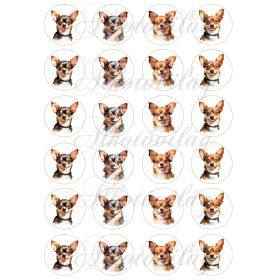 Akvarellel festett csivava kutyusok 4 cm-es körökben