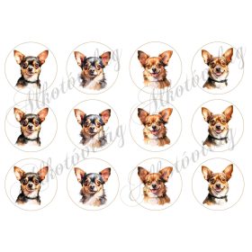 Akvarellel festett csivava kutyusok 6 cm-es körökben