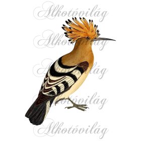   Búbos banka madár - Patchwork blokk táskablokk, párnablokk, takaróblokk, uzsonnás tasak blokk