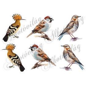   Búbos banka, házi veréb, léprigó madár kb 9 cm magas - Patchwork blokk táskablokk, párnablokk, takaróblokk, uzsonnás tasak blokk