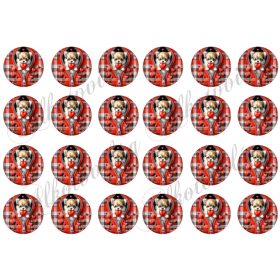 Csivava kutyusok 4 cm-es körökben