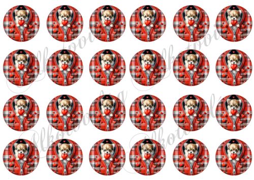 Csivava kutyusok 4 cm-es körökben