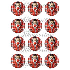 Csivava kutyusok 6 cm-es körökben