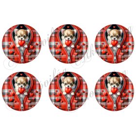 Csivava kutyusok 8,5 cm-es körökben