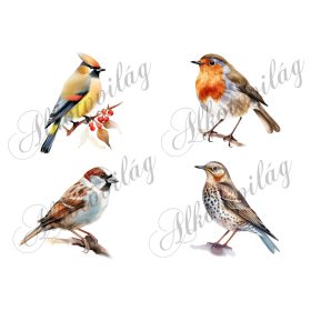   Csonttollú, vörösbegy, házi veréb, léprigó madár kb 9 cm széles - Patchwork blokk táskablokk, párnablokk, takaróblokk, uzsonnás tasak blokk
