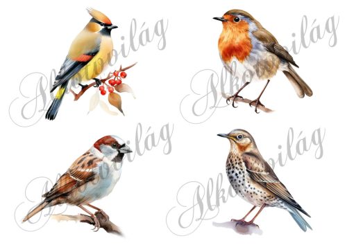 Csonttollú, vörösbegy, házi veréb, léprigó madár kb 9 cm széles - Patchwork blokk táskablokk, párnablokk, takaróblokk, uzsonnás tasak blokk