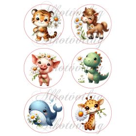   Cuki tavaszi tigris, lovacska, malac, dino, delfin, zsiráf százszorszép virágokkal 8 cm-es körökben