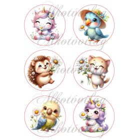   Cuki tavaszi unikornisok, madarak és cica, süni százszorszép virágokkal 8 cm-es körökben 2