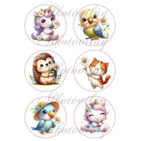   Cuki tavaszi unikornisok, madarak és cica, süni százszorszép virágokkal 8 cm-es körökben