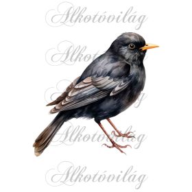   Feketerigó madár - Patchwork blokk táskablokk, párnablokk, takaróblokk, uzsonnás tasak blokk