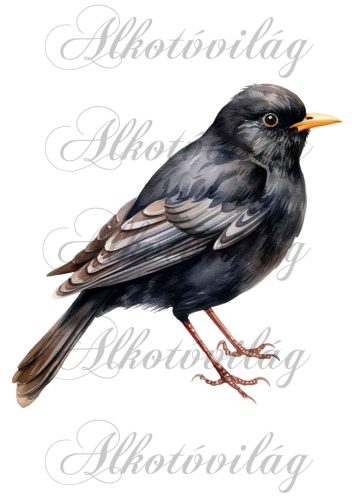 Feketerigó madár - Patchwork blokk táskablokk, párnablokk, takaróblokk, uzsonnás tasak blokk