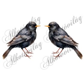   Feketerigó madár kb 13 cm széles - Patchwork blokk táskablokk, párnablokk, takaróblokk, uzsonnás tasak blokk