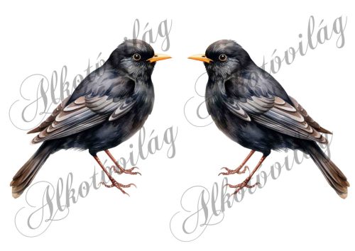 Feketerigó madár kb 13 cm széles - Patchwork blokk táskablokk, párnablokk, takaróblokk, uzsonnás tasak blokk