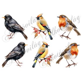   Feketerigó, csonttollú, vörösbegy 9 cm magas - Patchwork blokk táskablokk, párnablokk, takaróblokk, uzsonnás tasak blokk