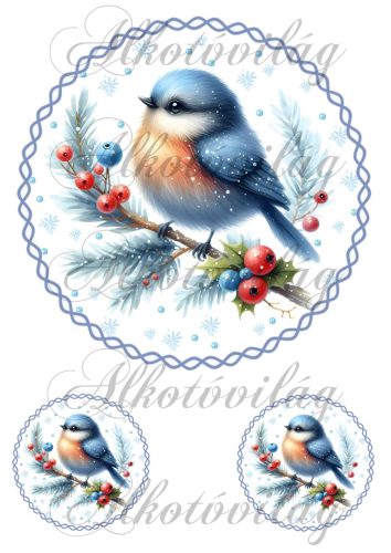 Kék tollú téli kismadár 18,5 cm  körben