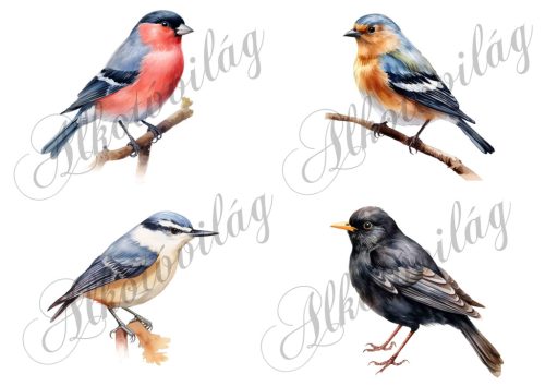 Süvöltő, erdei pinty, csuszka, feketerigó madár kb 9 cm széles - Patchwork blokk táskablokk, párnablokk, takaróblokk, uzsonnás tasak blokk