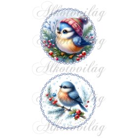 Téli kismadarak 12 cm-es körökben 2