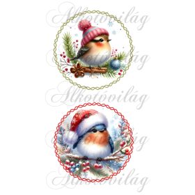 Téli kismadarak 12 cm-es körökben 3