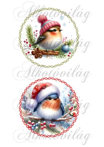 Téli kismadarak 12 cm-es körökben 3