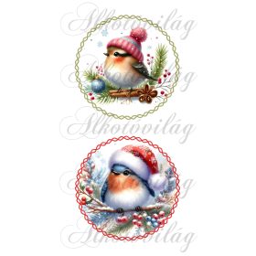 Téli kismadarak 12 cm-es körökben