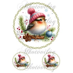 Téli kismadár bordós sapkában 18,5 cm  körben