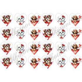 Yorki, havanese, tacskó kutyusok 4,5 cm magas szíveken