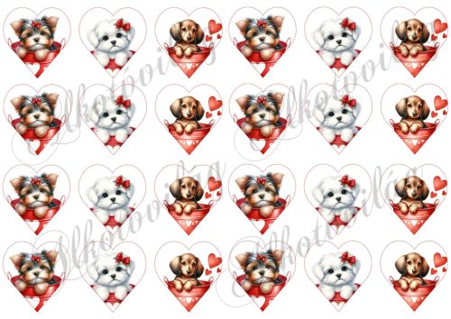 Yorki, havanese, tacskó kutyusok 4,5 cm magas szíveken