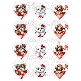 Yorki, havanese, tacskó kutyusok 6 cm magas szíveken