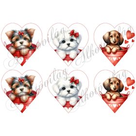 Yorki, havanese, tacskó kutyusok 9 cm magas szíveken