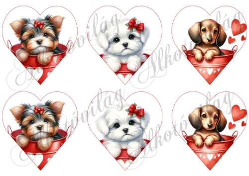Yorki, havanese, tacskó kutyusok 9 cm magas szíveken