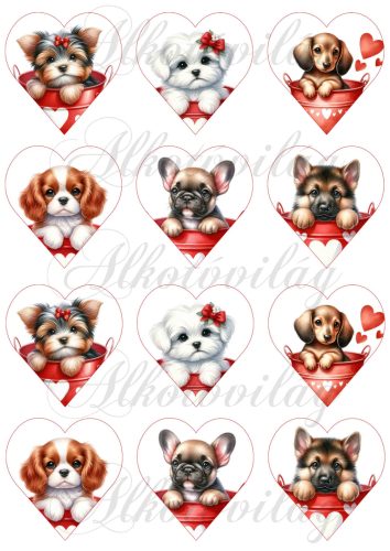 Yorki, havanese, tacskó, spániel, bulldog, németjuhász kutyusok 6 cm magas szíveken