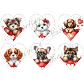   Yorki, havanese, tacskó, spániel, bulldog, németjuhász kutyusok 9 cm magas szíveken