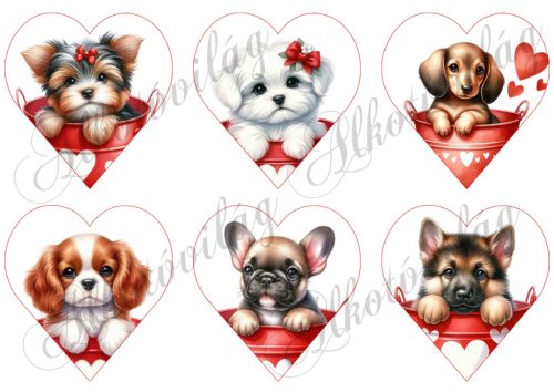 Yorki, havanese, tacskó, spániel, bulldog, németjuhász kutyusok 9 cm magas szíveken