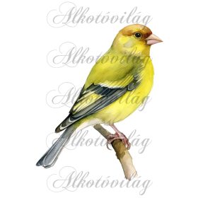   Zöldike madár - Patchwork blokk táskablokk, párnablokk, takaróblokk, uzsonnás tasak blokk