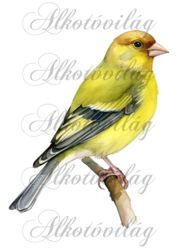 Zöldike madár - Patchwork blokk táskablokk, párnablokk, takaróblokk, uzsonnás tasak blokk