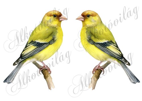 Zöldike madár kb 13 cm széles - Patchwork blokk táskablokk, párnablokk, takaróblokk, uzsonnás tasak blokk