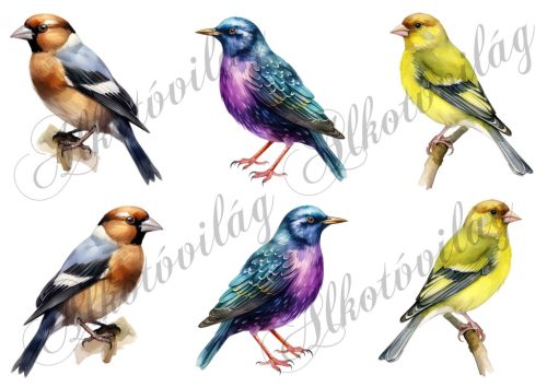 Zöldike, seregély, meggyvágó madár kb 9 cm magas - Patchwork blokk táskablokk, párnablokk, takaróblokk, uzsonnás tasak blokk