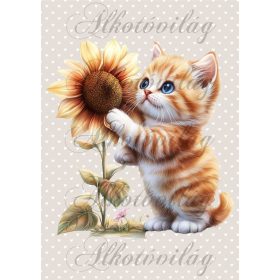   Cuki cica napraforgóval - PÁRNABLOKK, VÁSZONTÁSKA BLOKK, PATCHWORK BLOKK, UZSONNÁSTASAK BLOKK