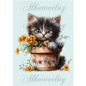   Cuki fekete cica sárga virágokkal - PÁRNABLOKK, VÁSZONTÁSKA BLOKK, PATCHWORK BLOKK, UZSONNÁSTASAK BLOKK