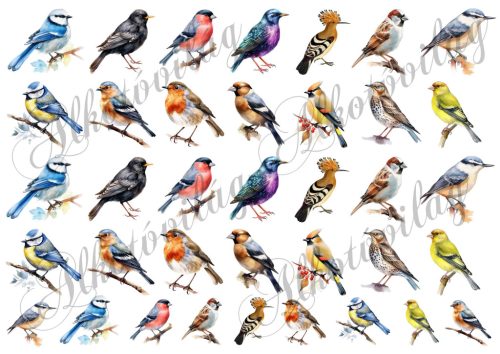 Madárkák vegyesen - kb. 3-4 cm magasak