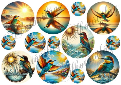 3-5-8 cm-es körök gyurgyalag madárral