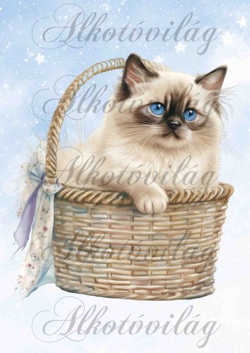 Cica kosárban - PÁRNABLOKK, VÁSZONTÁSKA BLOKK, PATCHWORK BLOKK, UZSONNÁSTASAK BLOKK