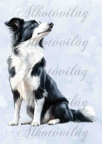 Collie hátra tekintő kutyus - PÁRNABLOKK, VÁSZONTÁSKA BLOKK, PATCHWORK BLOKK, UZSONNÁSTASAK BLOKK