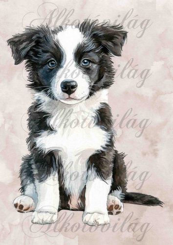 Collie kölyök kutyus - PÁRNABLOKK, VÁSZONTÁSKA BLOKK, PATCHWORK BLOKK, UZSONNÁSTASAK BLOKK