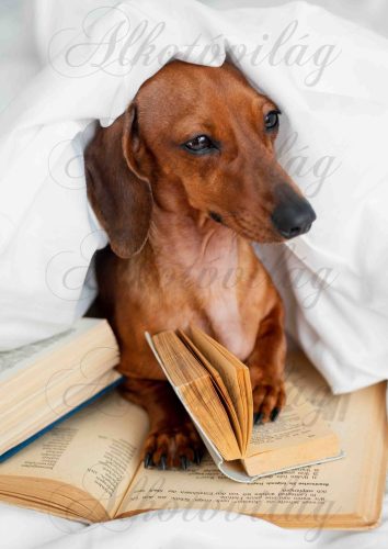 Cuki tacskó kutyus könyvekkel - PÁRNABLOKK, VÁSZONTÁSKA BLOKK, PATCHWORK BLOKK, UZSONNÁSTASAK BLOKK