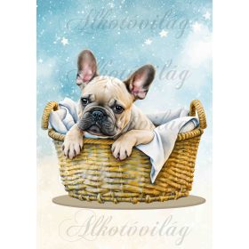   Francia bulldog kutya kosárban 2 - PÁRNABLOKK, VÁSZONTÁSKA BLOKK, PATCHWORK BLOKK, UZSONNÁSTASAK BLOKK